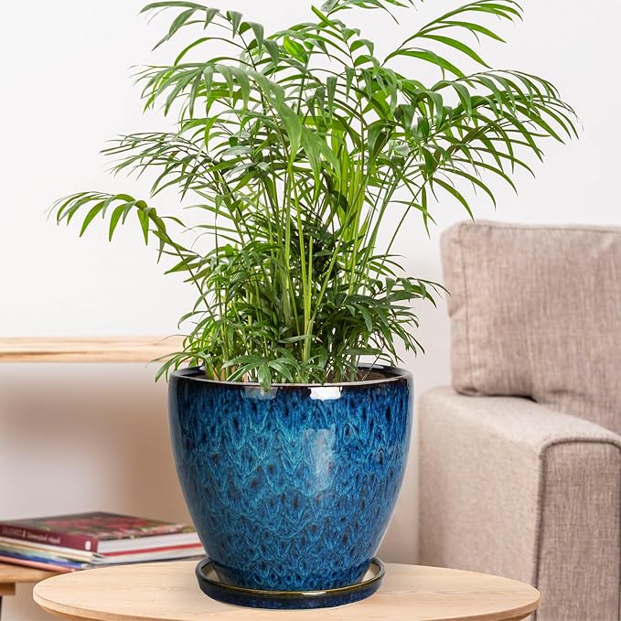 8 Inch Ceramic Planter Pot - Image 2
