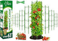 Riare 8 Pack 5.2 FT Tomato Cages by Riare