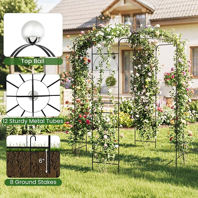 S AFSTAR Birdcage Shape Garden Arch, 9.3' H x 6.5' W Heavy-Duty Wrought Metal - Image 2