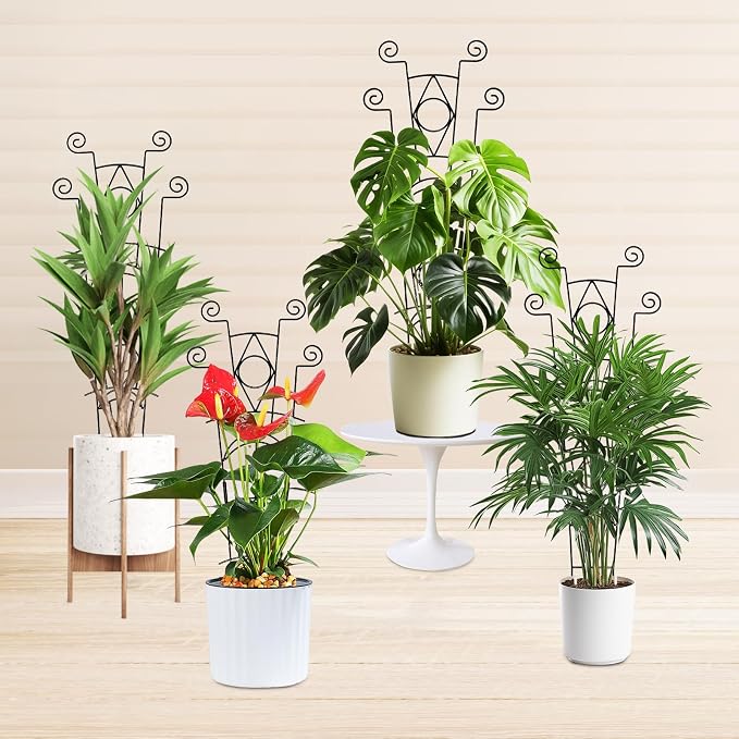 Indoor Plant Trellis for Climbing Plants 2 Pack Small Garden Metal Support for - Image 7