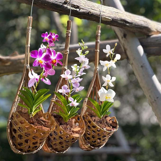 Handmade 100% Thai Bamboo Hanging Orchid Basket – 4 Inch Set of 3 - Image 6