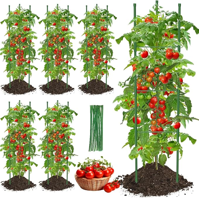 Tomato Cage for Garden, 6 Pack Tomato Trellis for Raised Garden Bed Height by GrowYourGreenParadise