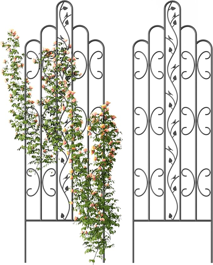 Idzo 71 in. Decorative Metal Trellis by Idzo