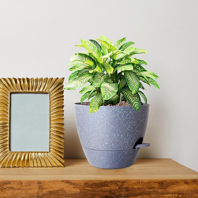 10 inch Self Watering Pots, Plant Pots - Image 7