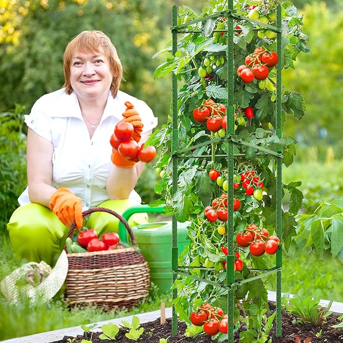 Legigo 4ft 4-Pack Tomato Cage for Garden Plant Support- Up to 48inch Garden - Image 7