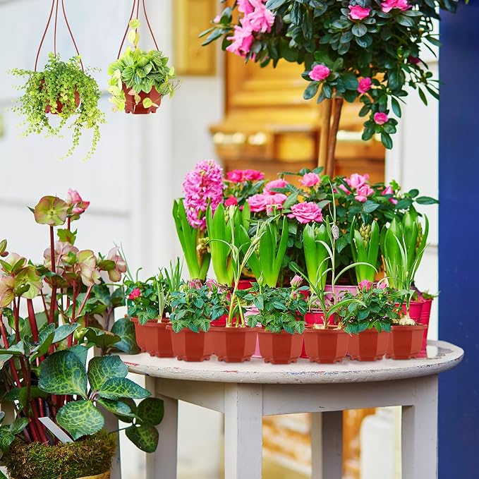 Roshtia 50 Pcs 3.7 inch Plastic Hanging Plant Pots - Image 5