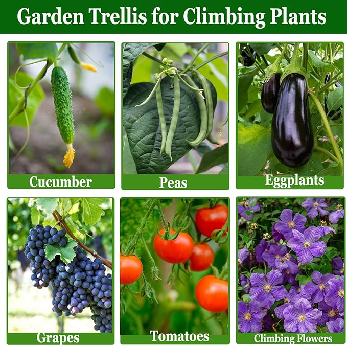 Cucumber Trellis Garden Trellis Arch Trellis, Tall Trellis - Image 7