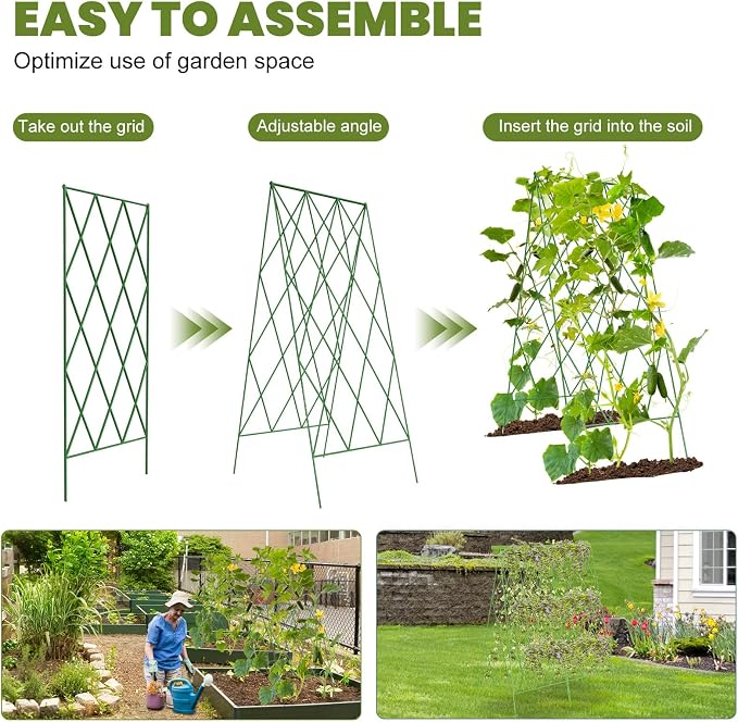 Cucumber Trellis 2 Pack, Foldable A-Frame Garden Trellis - Image 4