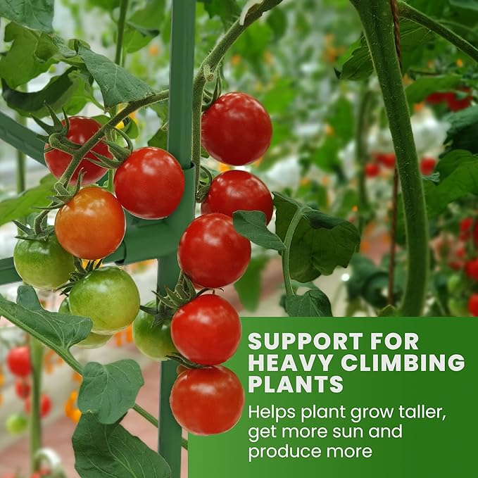 Tomato Cage Square - Image 6