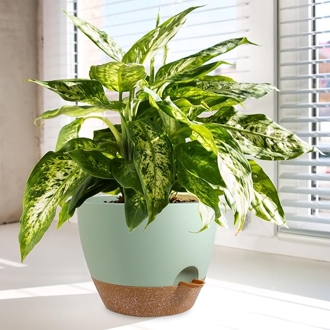 10/9/8 inch Self Watering Pots, Plant Pots - Image 6