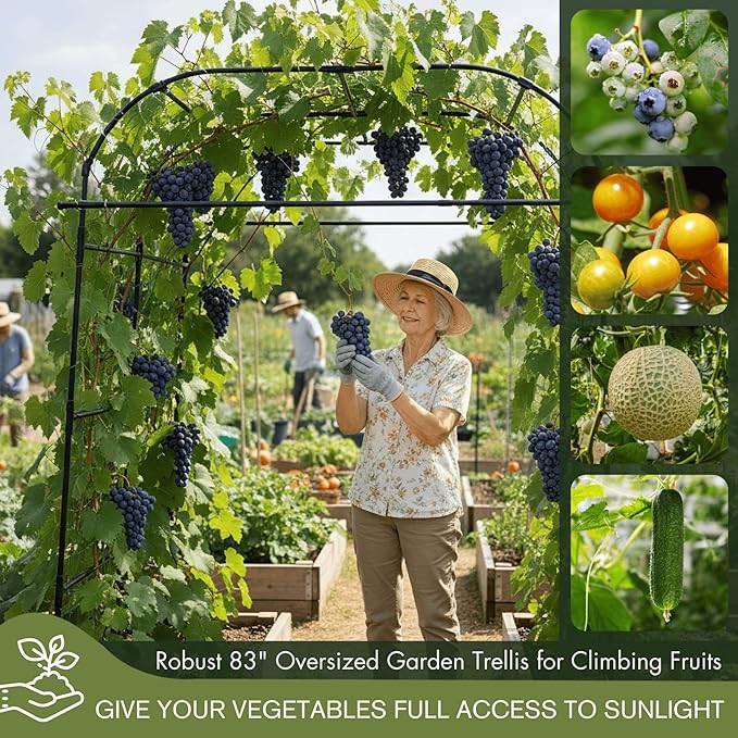 Wide Arch Trellis 7FT Extra Tall Garden Trellis Arch – Sturdy Plastic Coated - Image 6