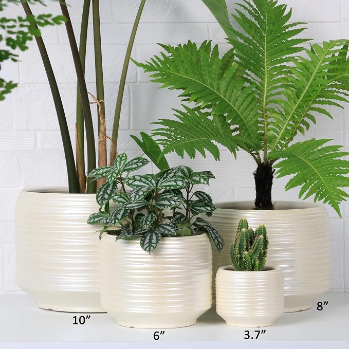 10 Inch Ceramic Plant Pot with Drainage – Large Flower Pot - Image 3