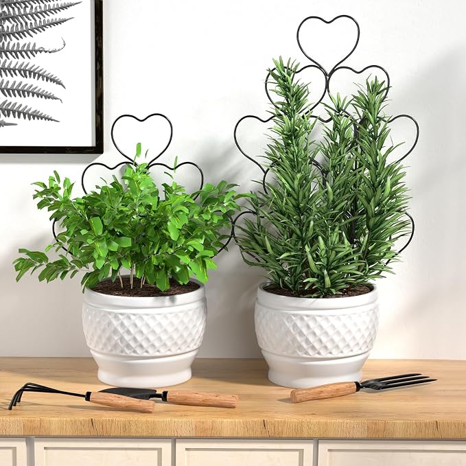 Plant Trellis for Climbing Plants Indoor Outdoor, Trlzey 3 Pack Stackable Metal - Image 7