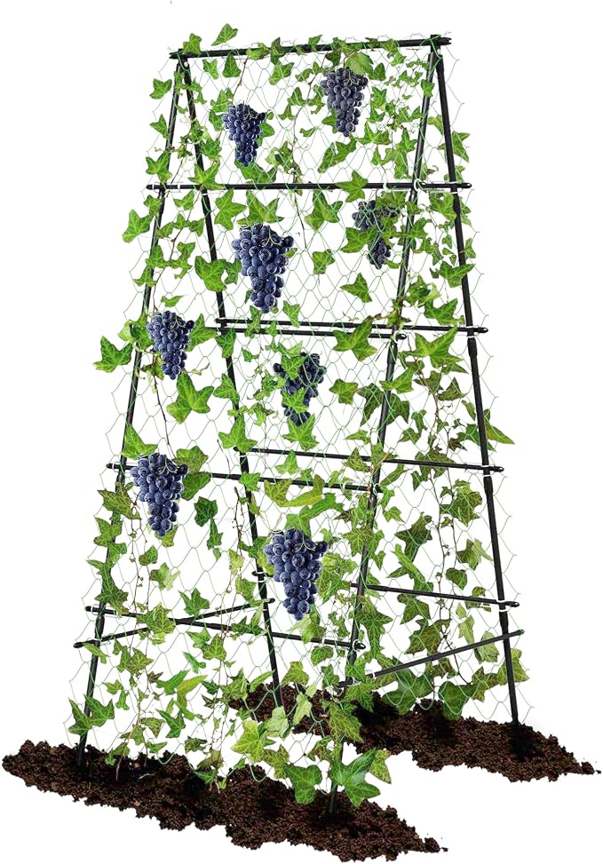 Garden Trellis for Climbing Plants, A-Shape Garden Plant Support Frame for by AlisisFores