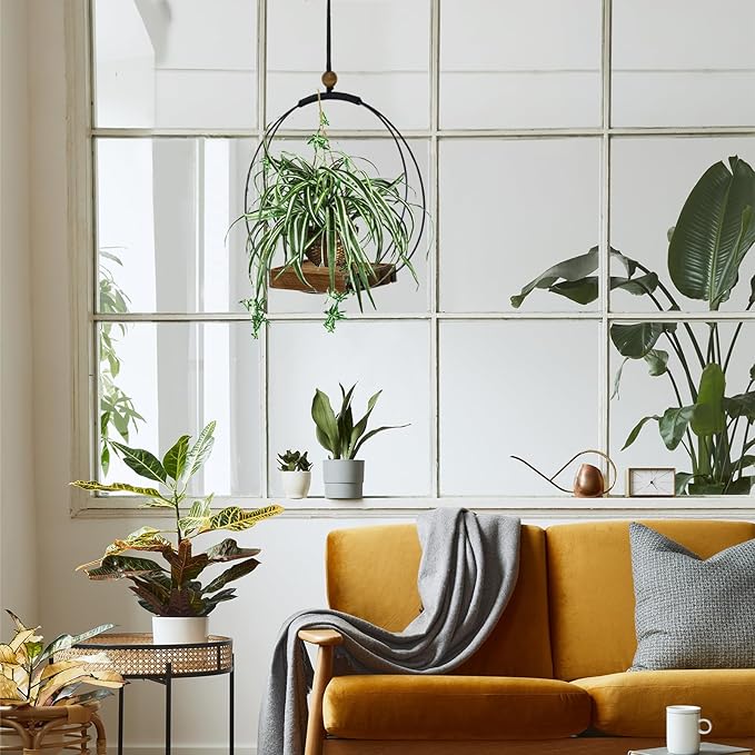 Hanging Planter for Indoor Plants - Image 5