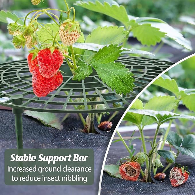 4 Sets Strawberry Plant Support - Image 7