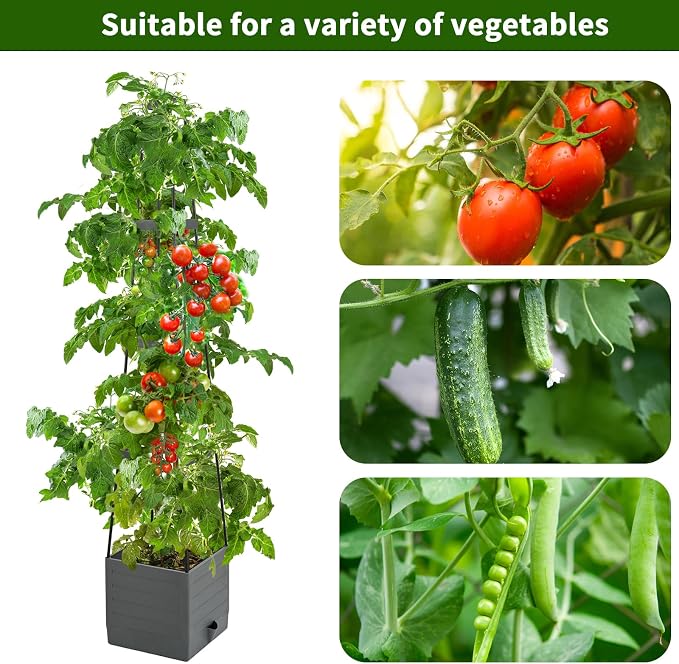 2 Pack Raised Garden Bed, Planter Boxes - Image 2