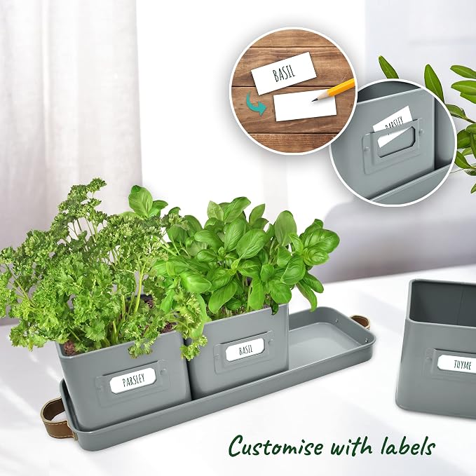 volila Herb Planter Indoor - Image 3