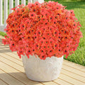 Artificial Flowers for Outdoor, Silk Flowers No Fade Fake Plastic Flowers UV by LetuoClipsClipsandHooks
