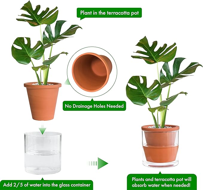 D'vine Dev 6 Inch Design Self Watering Pot - Image 4