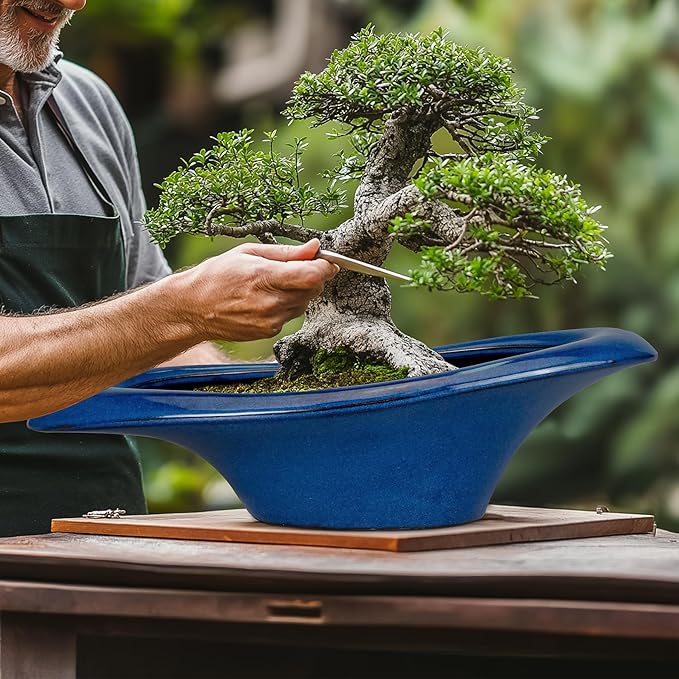 Bonsai Tree Pot 18 Inch - Image 4