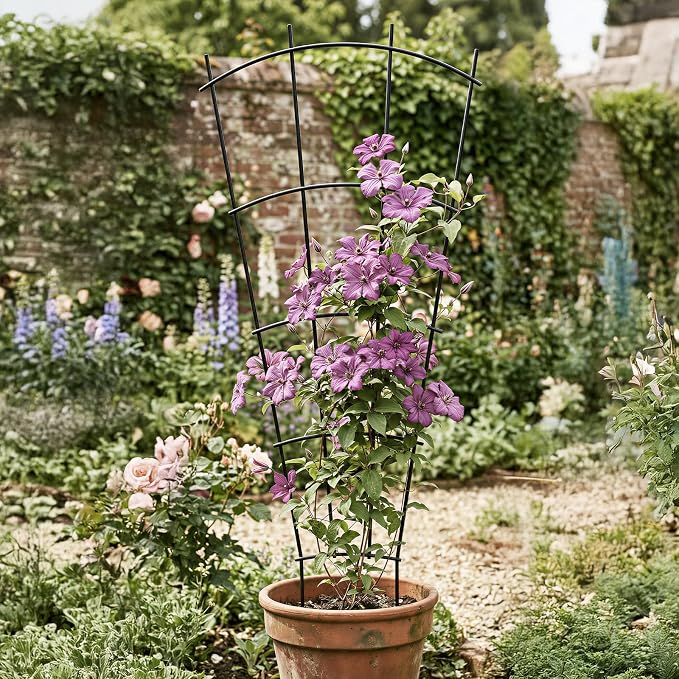 4 Pack 23'' Indoor Plant Trellis - Image 9