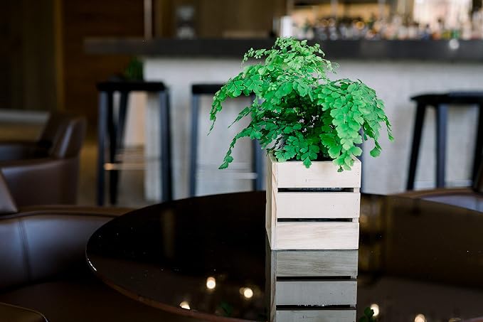 Wood Planter Box with Wine Crate Styled, 5 Inch Square, Rose Wood, Plastic Liner - Image 8