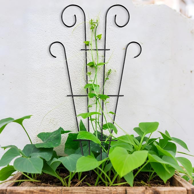 4 Pack 43'' Indoor Plant Trellis - Image 7