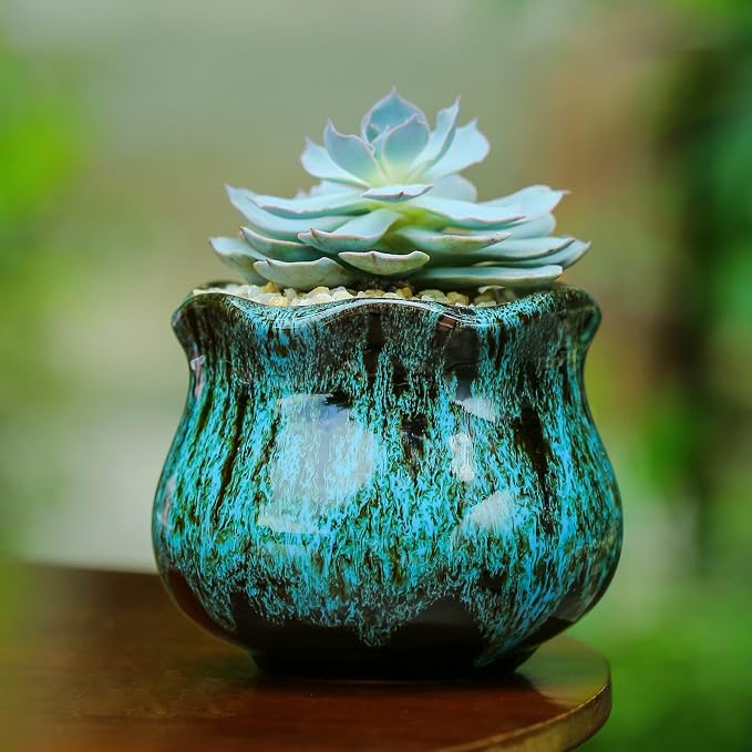 Cute Ceramic Succulent Planters, Garden Pots - Image 7