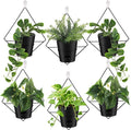 Baderke 6 Sets Wall Planters for Indoor Plants Hanging Wall Planter by Baderke