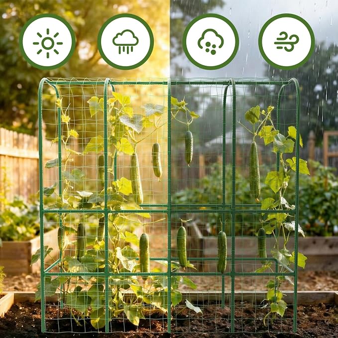 65" Tall Cucumber Trellis for Raised Bed, Garden Trellis for Climbing Plants - Image 6