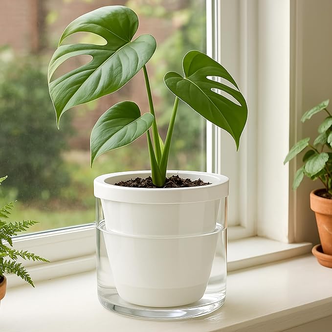 D'vine Dev 6 Inch Design Self Watering Planter - Image 7