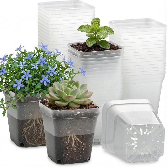60 Pcs Clear Square Nursery Pots 4 Inch, Reusable Seedling Pots by RooTrimmer