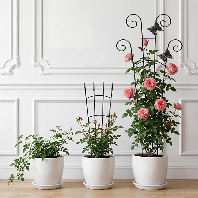 30'' Larger Plant Trellis with Ties Indoor, Expandable Metal Trellis - Image 4