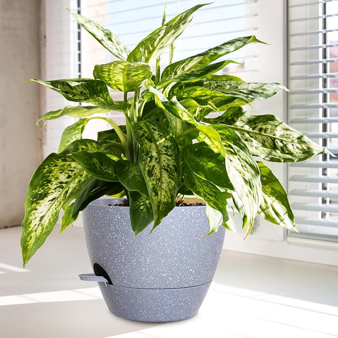Big Self Watering Pots 12/10/9 inch, Plant Pots - Image 6
