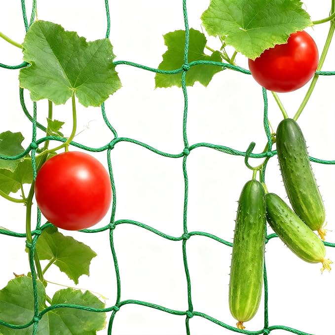 6.6x16.4FT Trellis Netting for Climbing Plants, Trellis Netting by Unknown