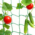 6.6x16.4FT Trellis Netting for Climbing Plants, Trellis Netting by Unknown