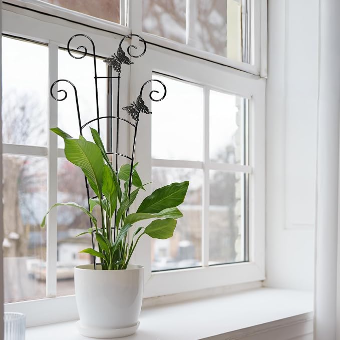 COOMIN 30'' Monstera Plant Support Outdoor, Metal Expandable Plant Supports - Image 9
