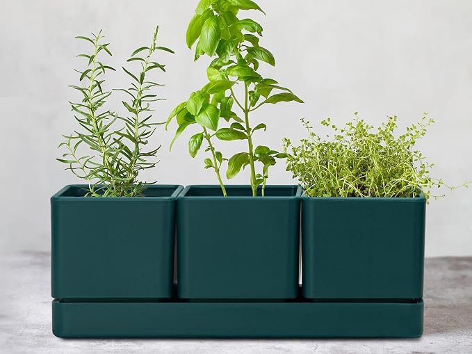 D'vine Dev Herb Garden Planter Set, Plastic Plant Pots - Image 2