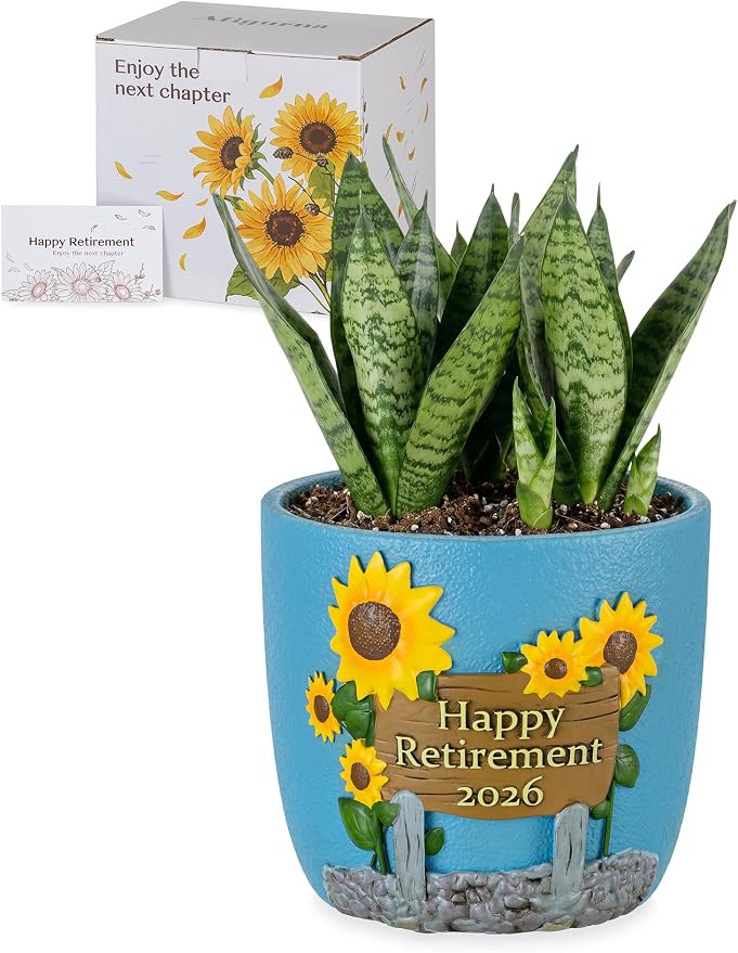 Retirement Gifts for Woman 2026: Happy Retirement Gifts for Women Nurse Teacher by Unknown