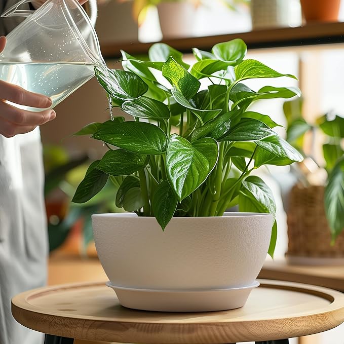 T4U 8 Inch Plant Pots, Plastic Planters - Image 7