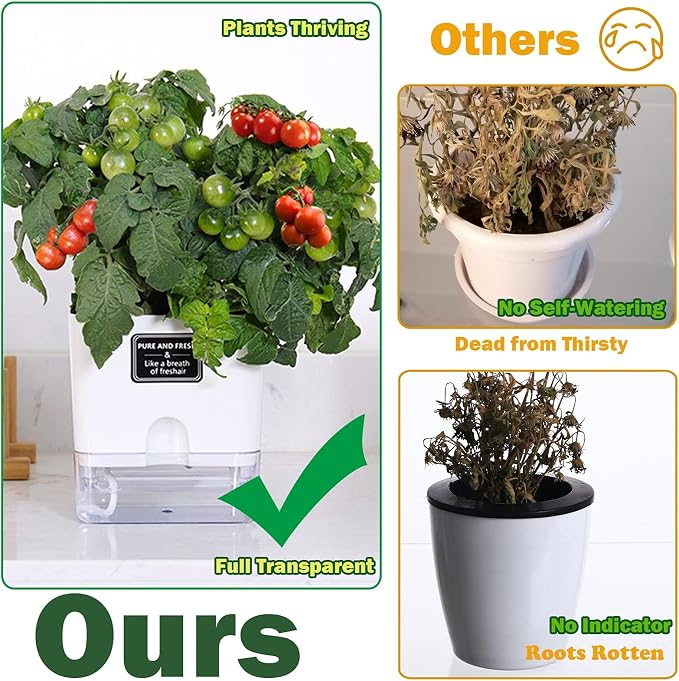 Planterhoma Self Watering Plant Pots - Image 2