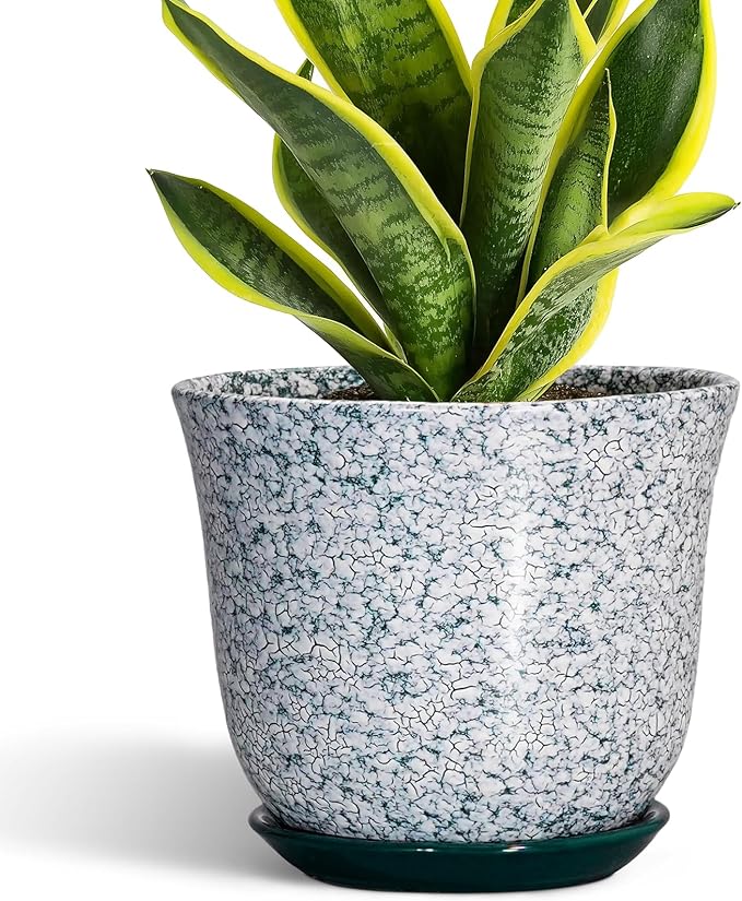 Ceramic Pots for Plants by SUNPOTFOR