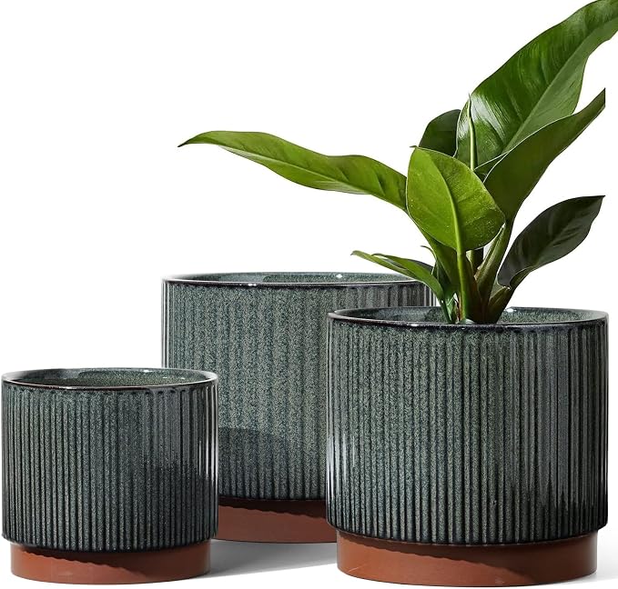 LE TAUCI Ceramic Plant Pots by LETAUCI