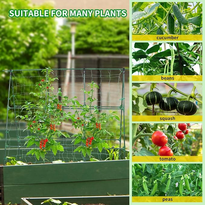 Cucumber Trellis, 50x48 inch A-Frame Garden Trellis - Image 6