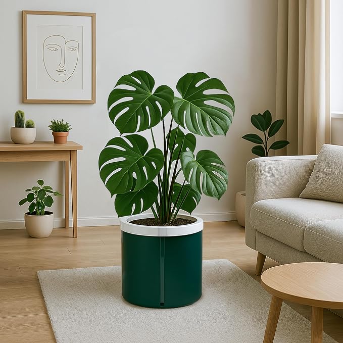 D'vine Dev 10 Inch Design Self Watering Planter - Image 2