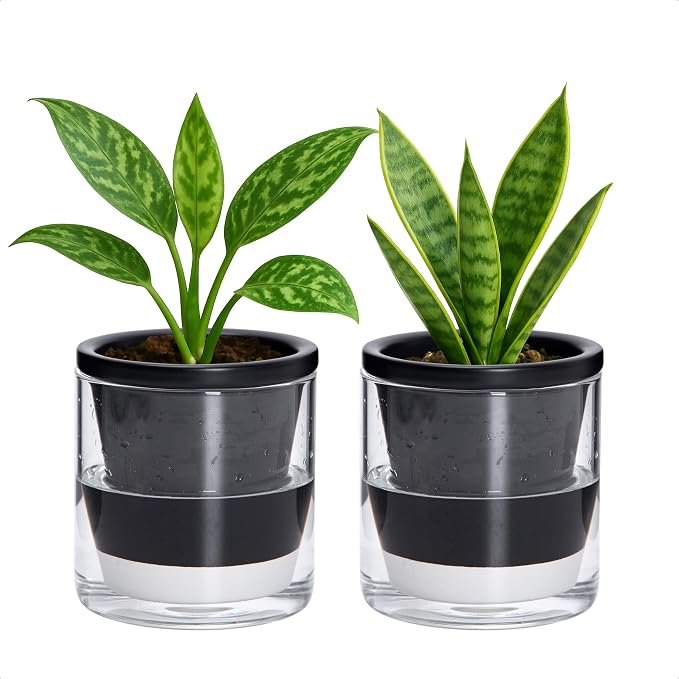 D'vine Dev 4 Inch Design Self Watering Planter by DvineDevPlanterPotsandStand