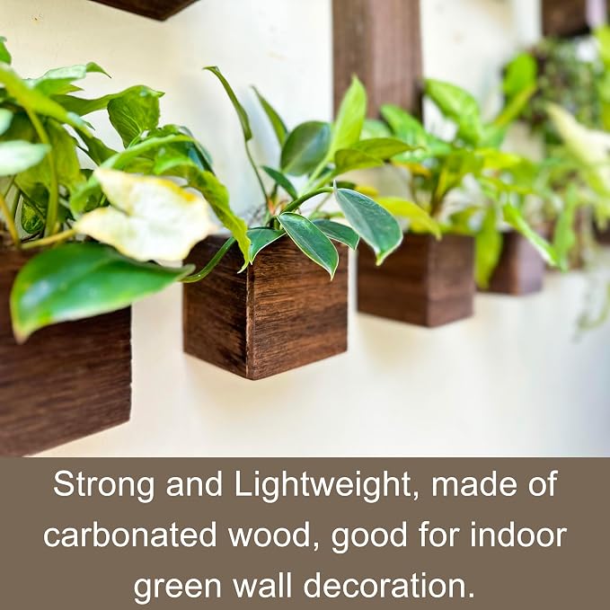 LaLaGreen Wood Planter Box for Plants Small Square Wall Planters for Indoor - Image 7