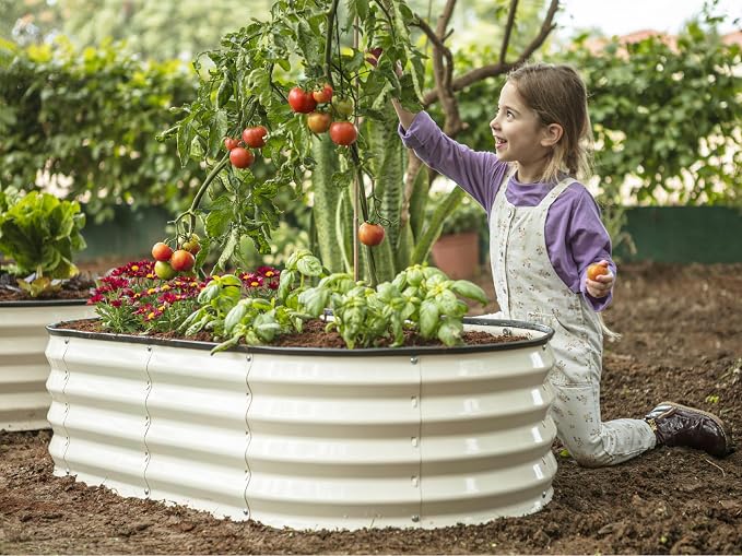 Plant & Plot Galvanized Raised Garden Beds Outdoor // 4×2×1 ft Planter Raised - Image 4