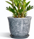 Ceramic Pots for Plants by SUNPOTFOR